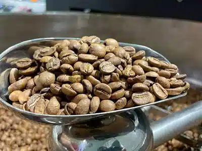 北海道での焙煎風景